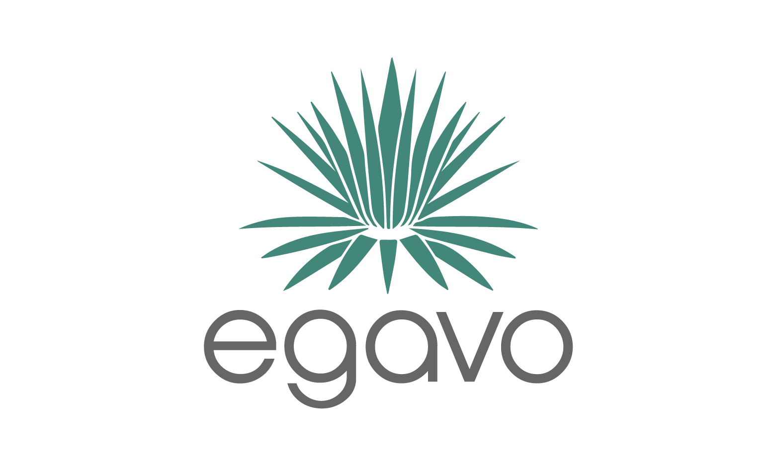 Egavo logo